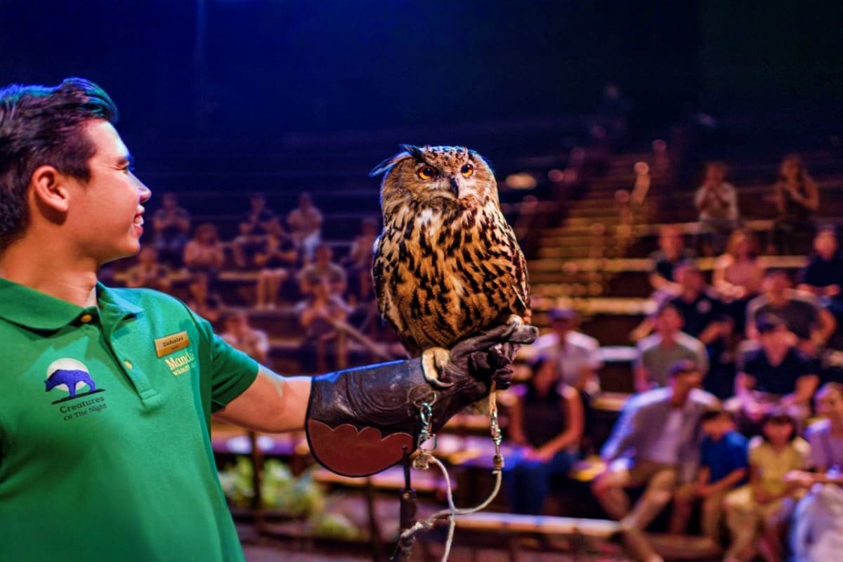 Wildlife handler at Night Safari Singapore presenting an eagle owl perched on a gloved hand to an audience in an indoor theat