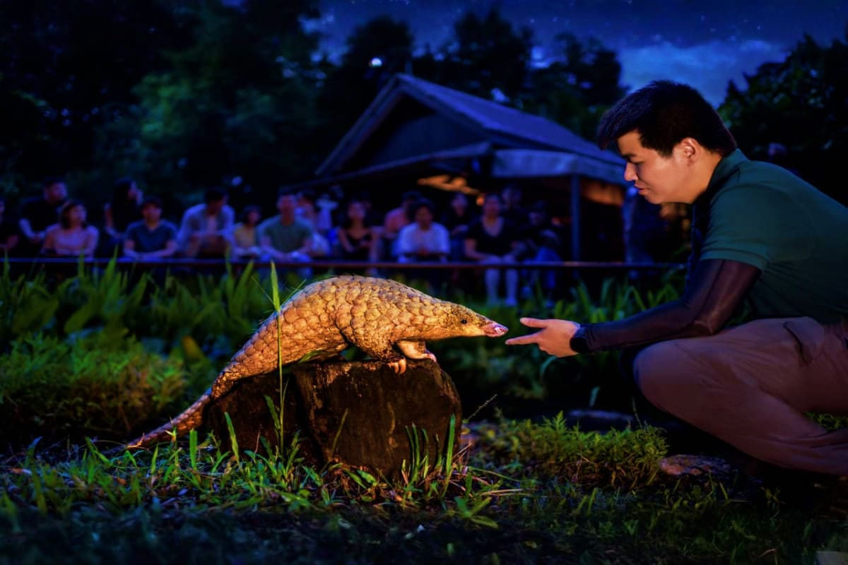 Man interacting with a pangolin during a night safari tour, with audience watching in the background at Night Safari Singapor