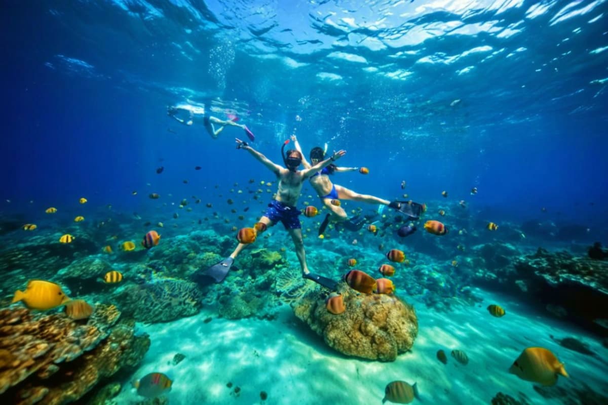 Snorkeler with arms raised underwater surrounded by yellow and white striped tropical fish above coral reef in clear blue oce