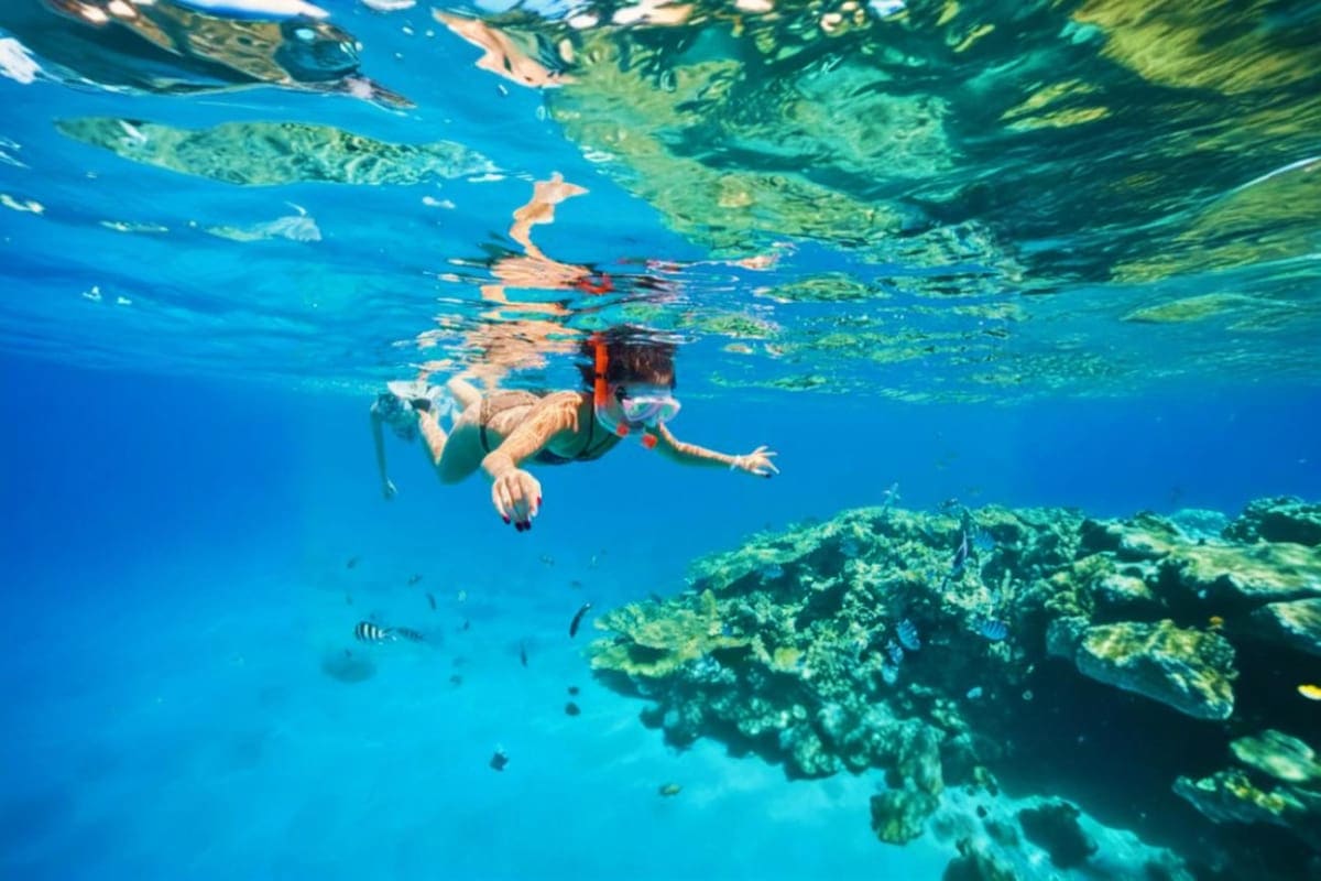 Nusa Penida Day Tour And Snorkeling Depart from Nusa Penida Snorkeler swimming above coral reef in clear blue water during Nusa Penida day tour and snorkeling activity