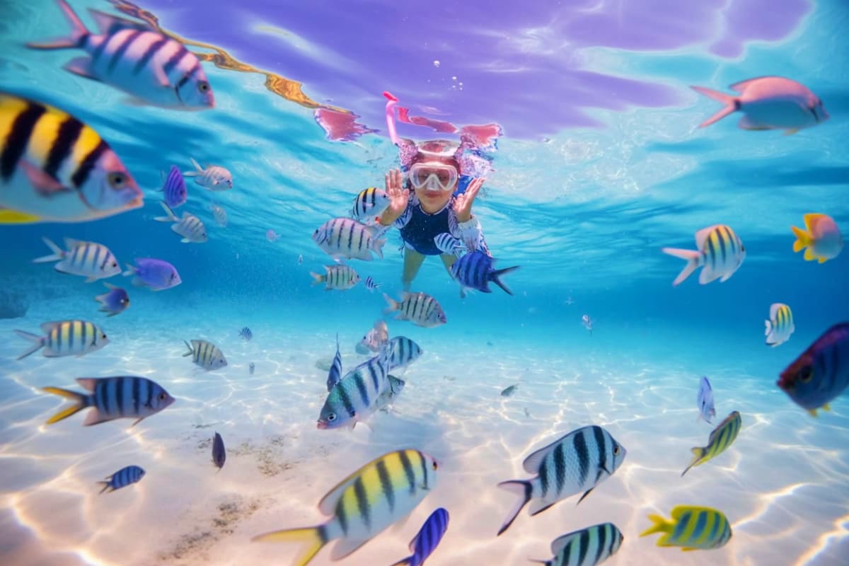 Child snorkeling underwater surrounded by striped tropical fish and coral reef in clear turquoise water