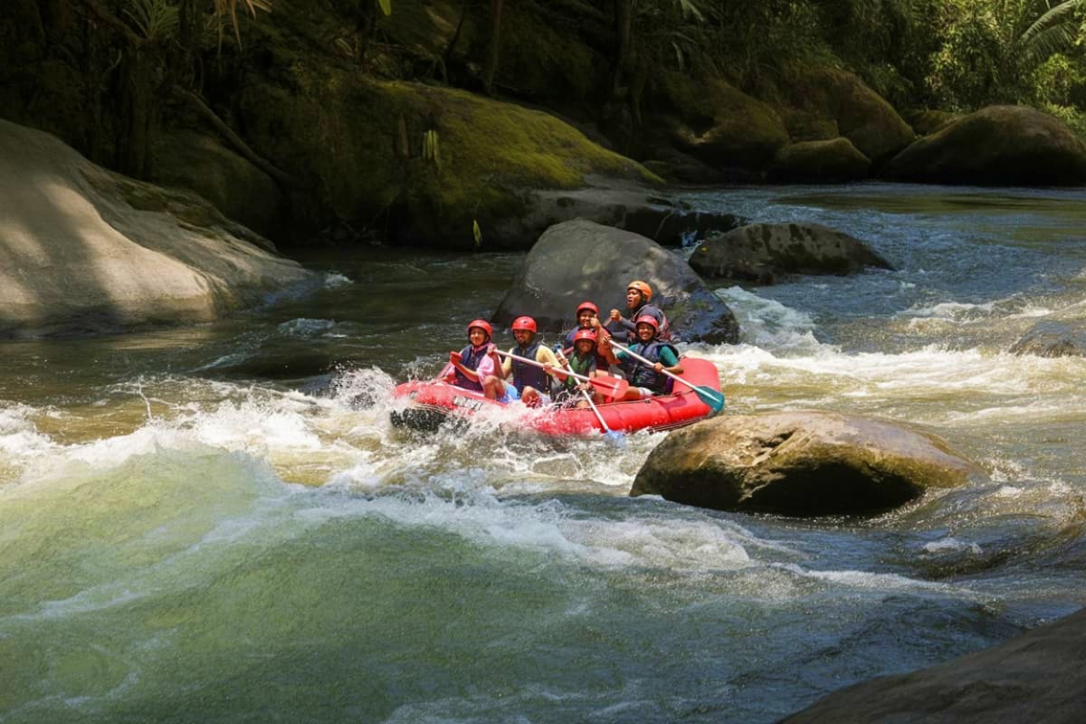 Group of tourists white water rafting on River Ayung with paddles navigating through rapids surrounded by moss-covered rocks