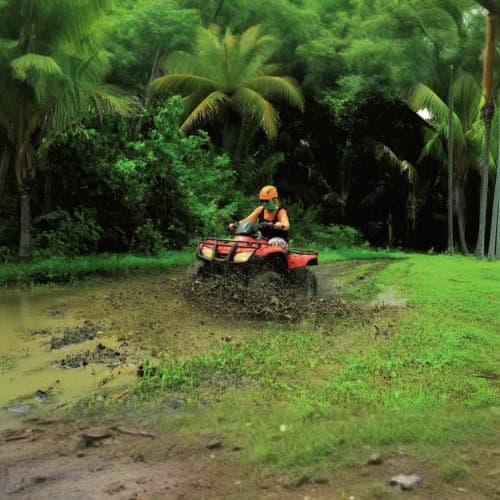 Person riding red ATV through muddy jungle trail surrounded by palm trees and tropical vegetation