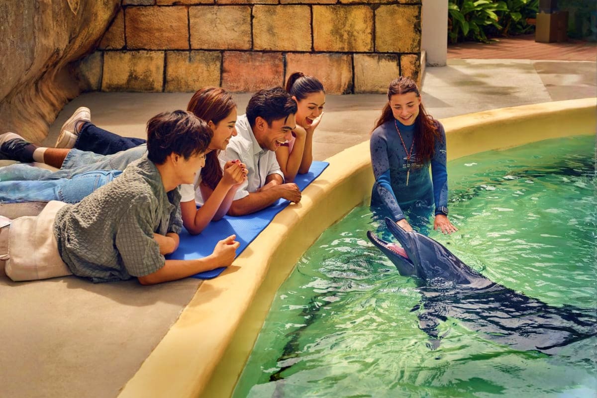 Group of children interacting with dolphin in aquarium pool during educational marine life encounter