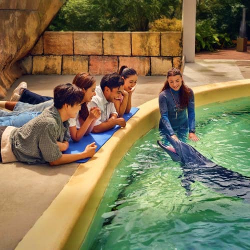 Children observing a ray in a large aquarium tank at Singapore Oceanarium