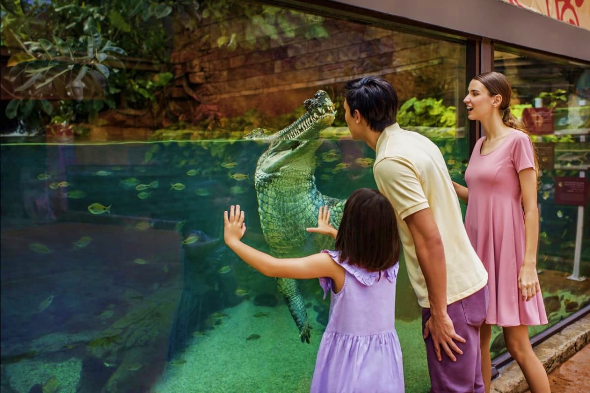 Family viewing crocodile exhibit at Singapore River Wonders aquarium with young girl touching glass tank