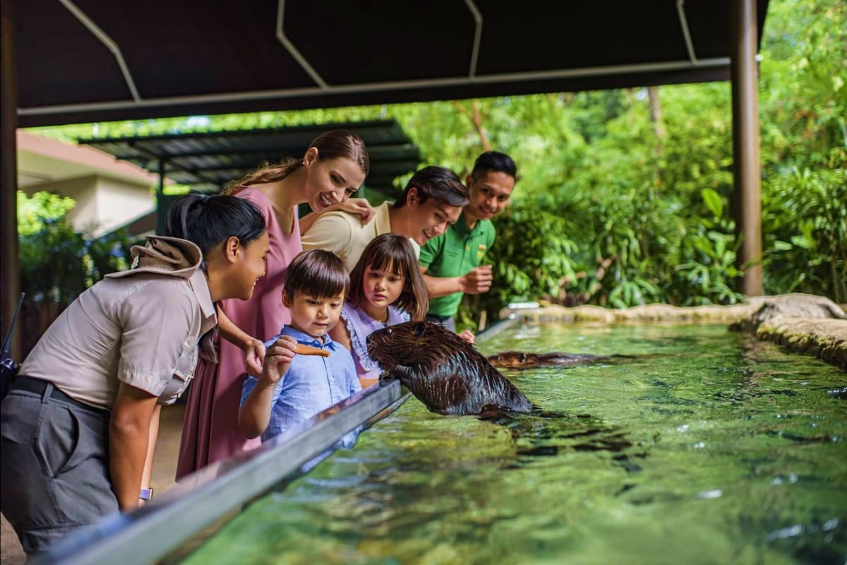 Singapore River Wonders Family watching otter swimming in water at Singapore River Wonders wildlife attraction