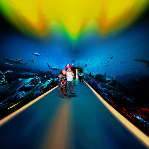 The View at The Palm Dubai Visitors walking through an underwater tunnel at The View at The Palm Dubai with sharks and fish swimming overhead in illumin