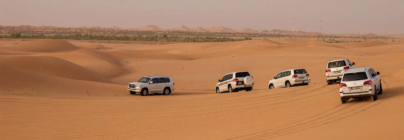 Fleet of white SUVs driving across golden sand dunes in Abu Dhabi desert with green oasis visible on horizon