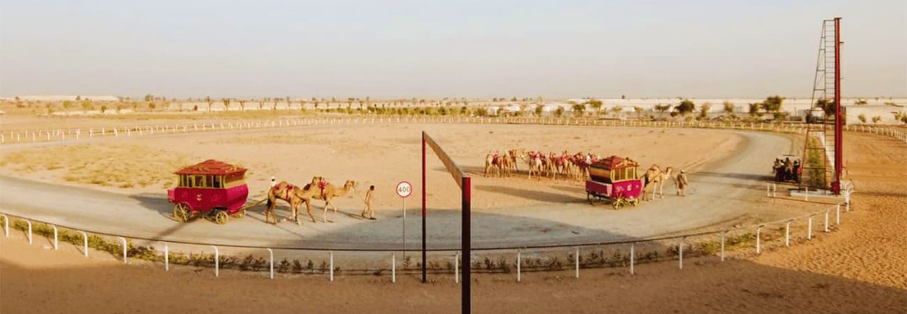 Camel farm in desert landscape with red traditional carriages, camels, handlers, and white fencing around circular training a