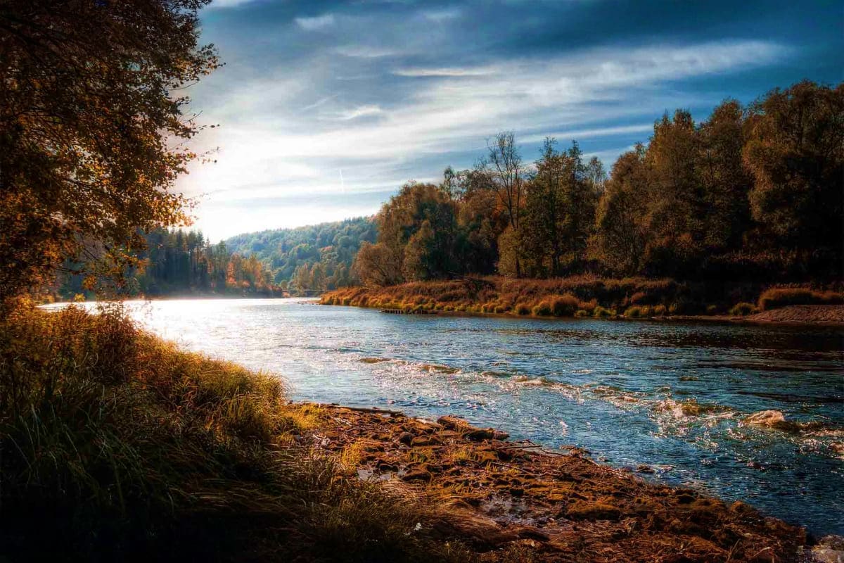 Autumn landscape of a flowing river surrounded by golden trees and rocky shores under a cloudy sky in Latvia