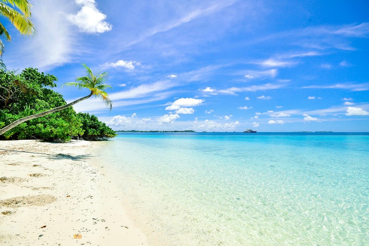 Tropical beach in Zanzibar with white sand, clear turquoise water, bending palm tree, and blue sky with white clouds
