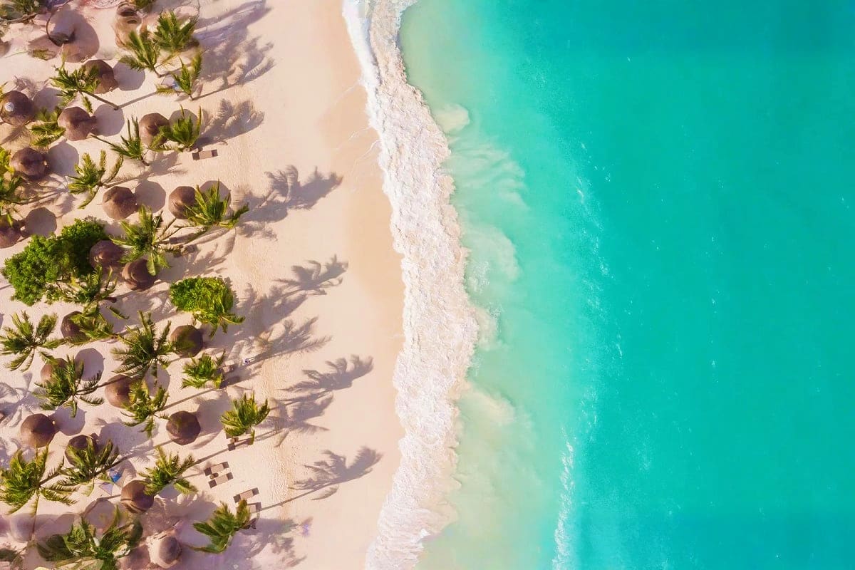 Aerial view of Zanzibar beach with palm trees casting shadows on white sand and turquoise ocean waves