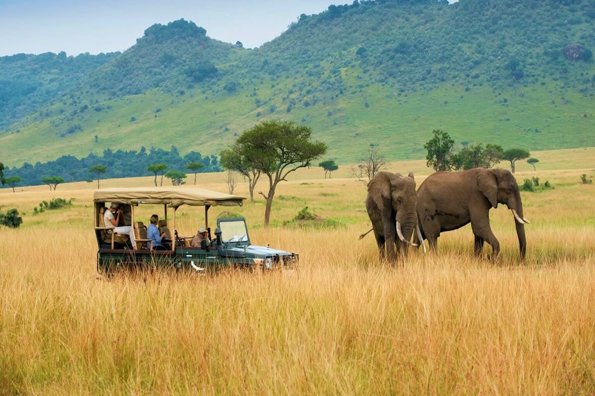 Safari game drive vehicle with tourists observing African elephant in grassland savanna with forested hills in background