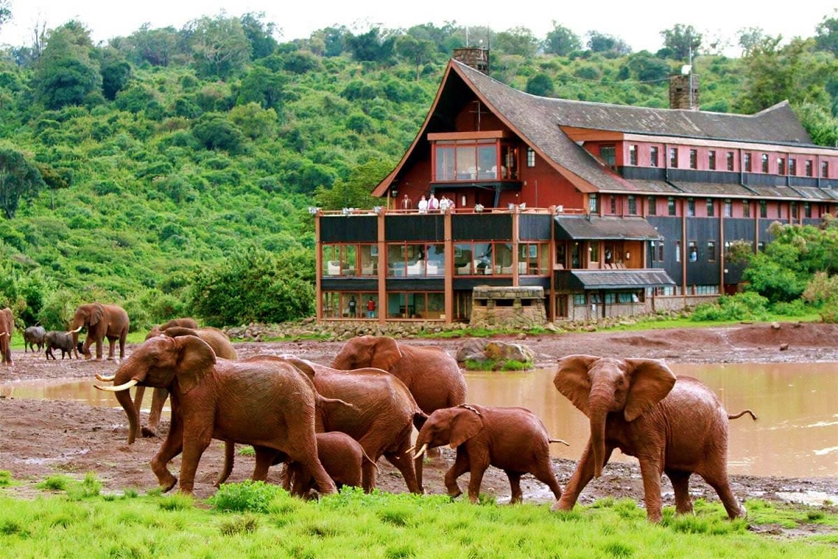 Herd of African elephants at a watering hole in front of a large lodge building surrounded by green hills