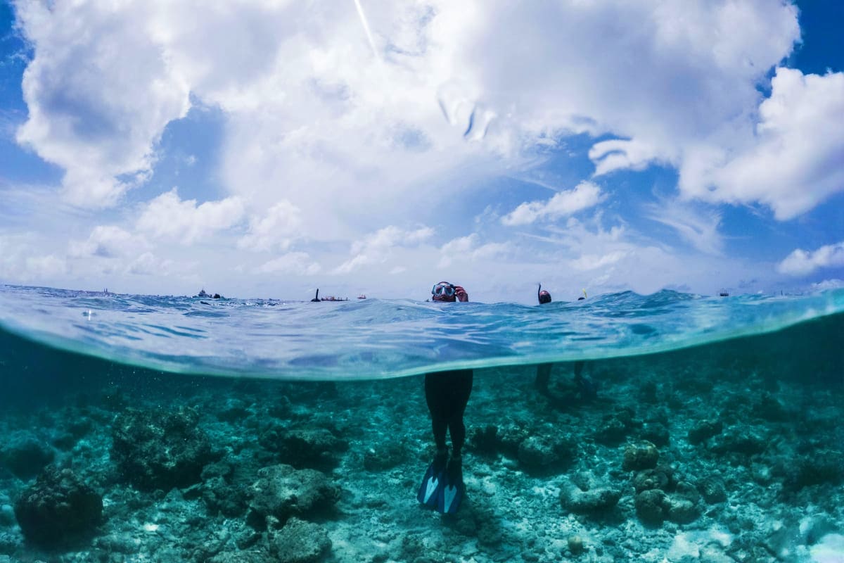 Snorkeler in wetsuit underwater near coral reef with boats and blue sky visible above water surface