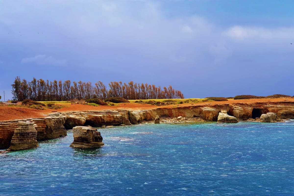 Rocky coastal cliffs with turquoise Mediterranean water and poplar trees along the shoreline under blue sky