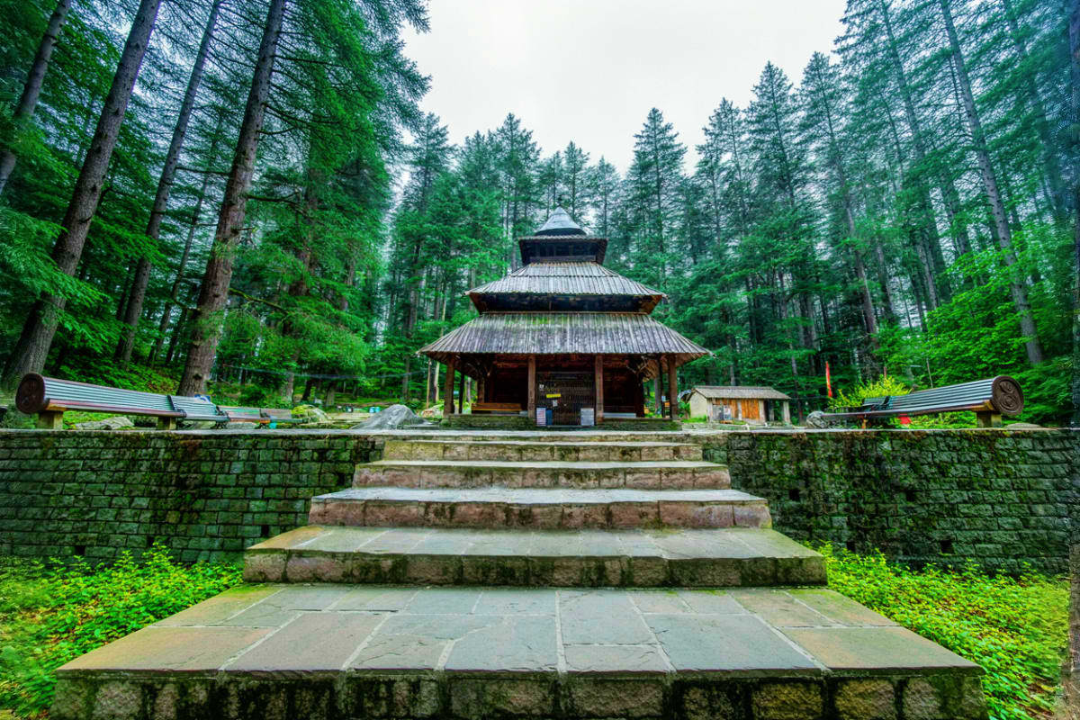 Traditional tiered pagoda temple surrounded by tall pine forest trees with stone steps and pathway leading to entrance