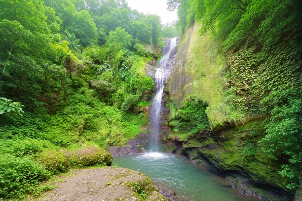 Waterfall cascading into emerald pool surrounded by lush green forest and moss-covered canyon cliffs in Himalayas