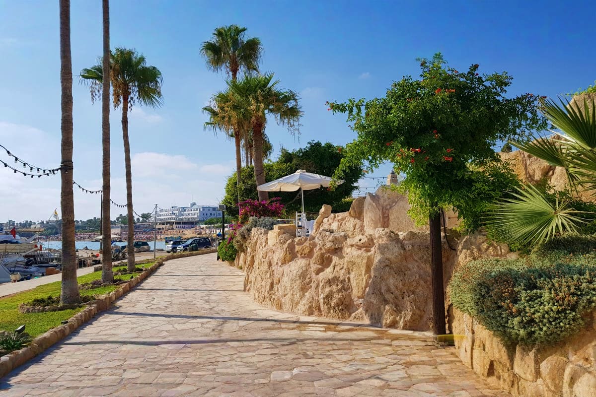 Scenic coastal promenade in Cyprus with palm trees, stone walls, Mediterranean harbor views, and waterfront dining area under