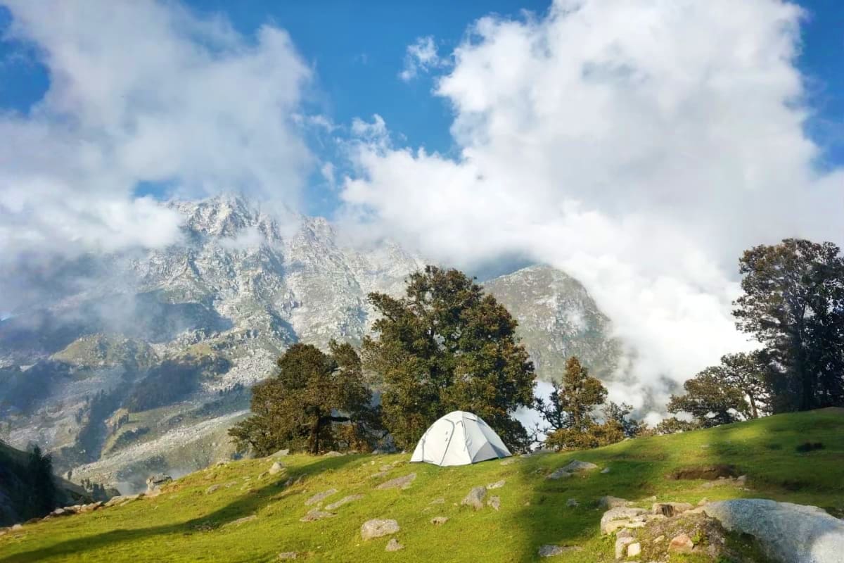 White camping tent pitched on green alpine meadow with snow-capped Himalayan mountains and evergreen trees in background unde