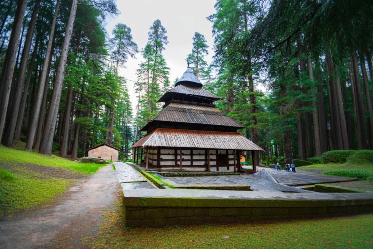 Traditional Japanese temple with tiered roofs surrounded by tall conifer forest and moss-covered grounds in mountainous woodl