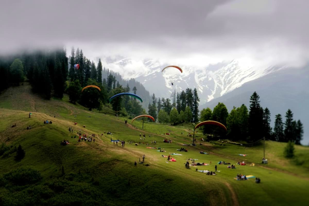Paragliders soaring over green valley meadow with snow-capped Himalayan mountains and pine forests in background at Manali