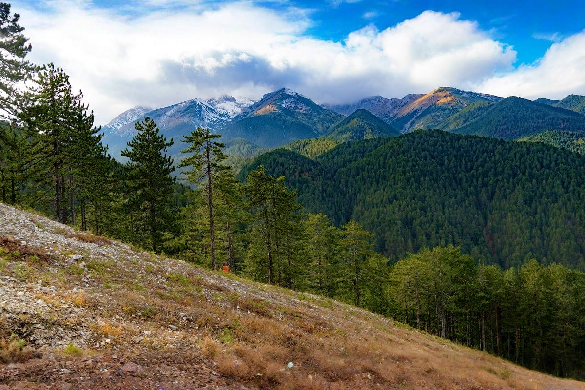 Snow-capped mountain peaks with dense coniferous forest and rocky hillside in Bulgarian mountain landscape under blue sky wit