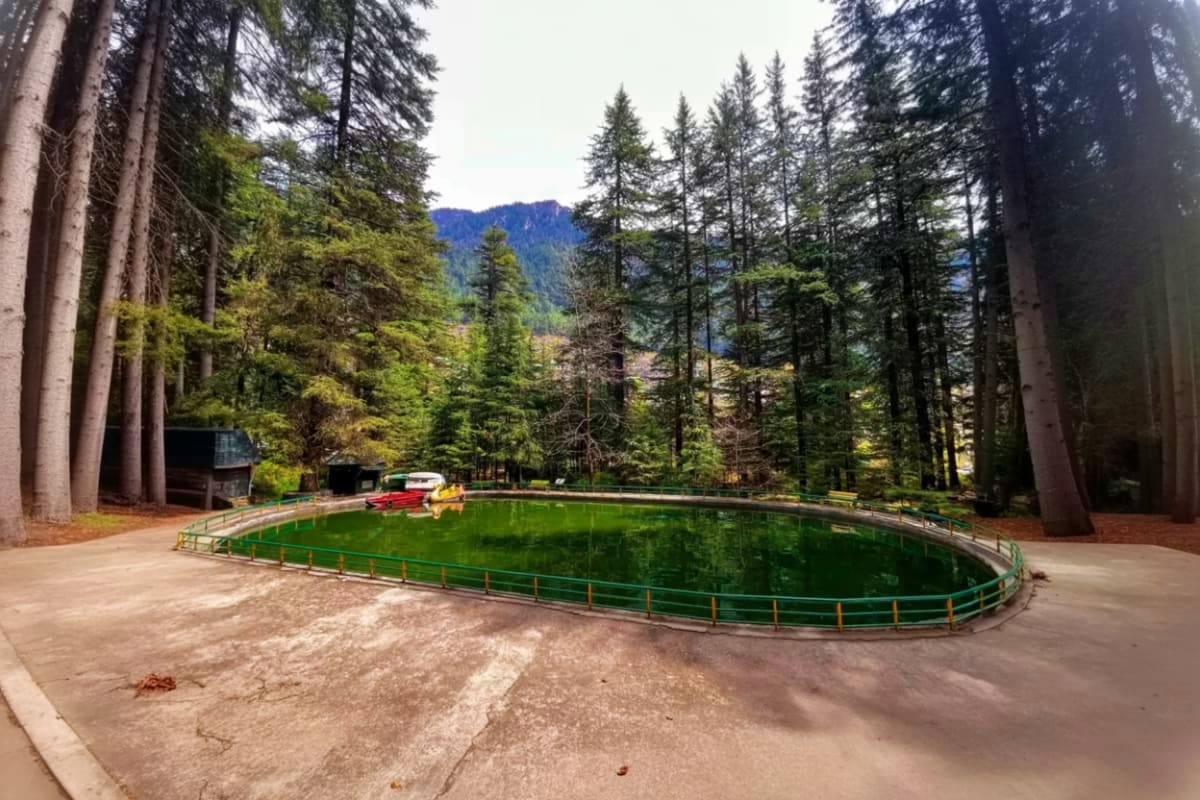Manali by Volvo Forest clearing with large green artificial pond surrounded by tall conifer trees and mountains in Manali, India