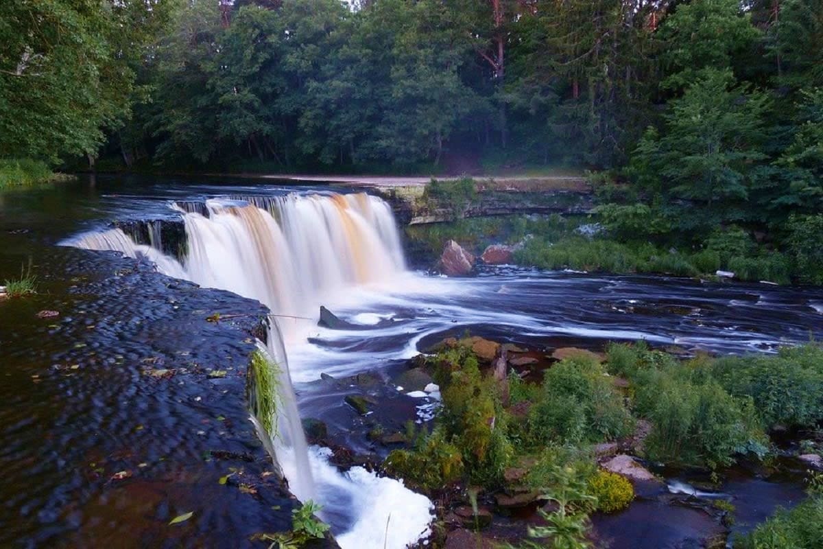 Cascading waterfall flowing through forested landscape with moss-covered rocks and dense green trees surrounding the water fe