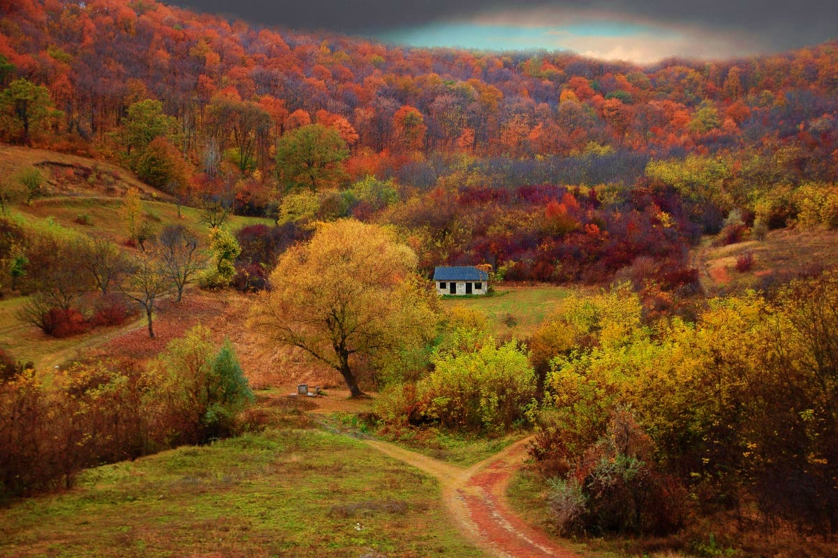 Historic Moldova landscape with red dirt road leading to a white cottage surrounded by autumn forest with vibrant orange and 