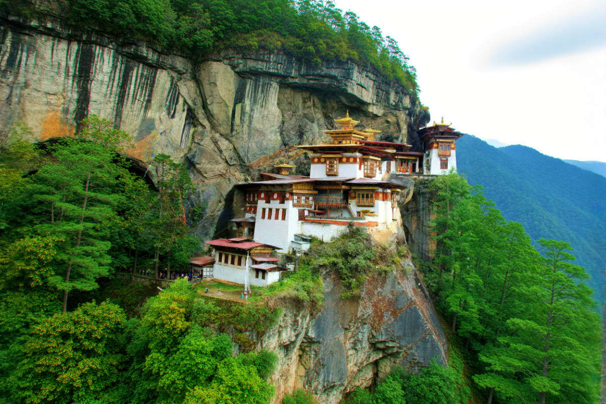 Tiger's Nest Monastery perched on a cliff surrounded by dense green forest and mountains in Bhutan