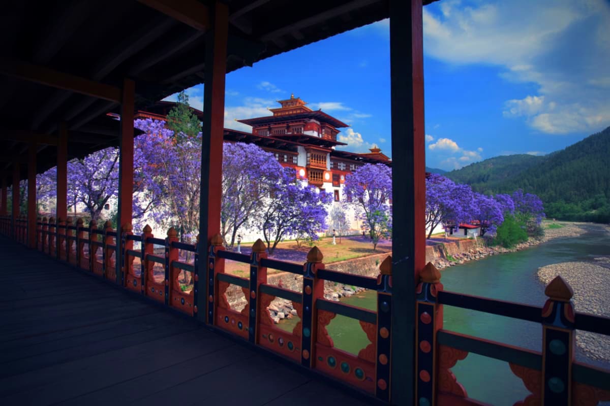 View from a wooden pavilion overlooking a traditional red Bhutanese monastery surrounded by purple jacaranda trees and a rive