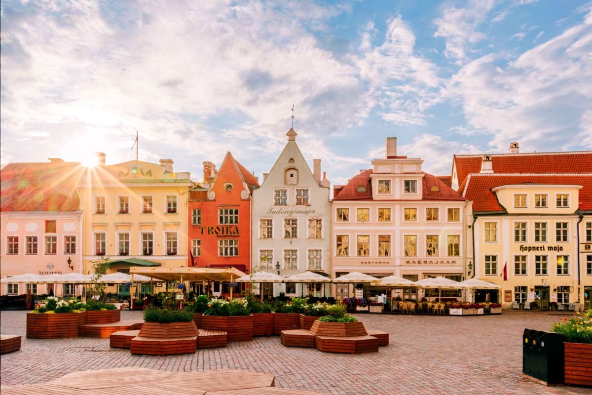 Town Hall Square in Tallinn with colorful historic buildings, outdoor cafes, and wooden planters under a blue sky