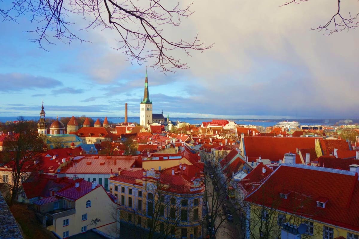 Tallinn Old Town skyline with red-roofed medieval buildings, church spires, and bay view in winter