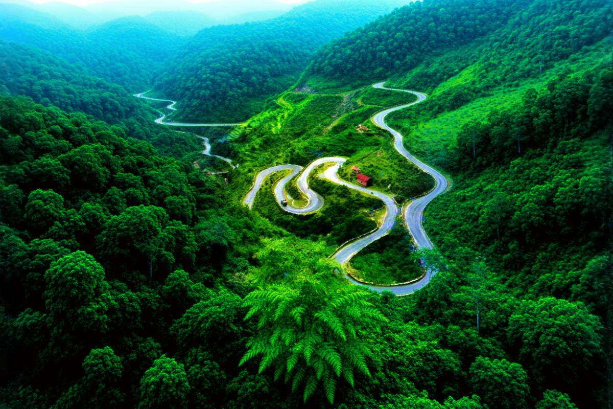 Aerial view of winding mountain road through dense green forest valley with serpentine curves and river