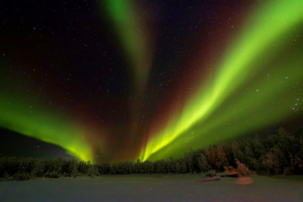 Bright green aurora borealis dancing across night sky above snow-covered forest and frozen landscape in Finland