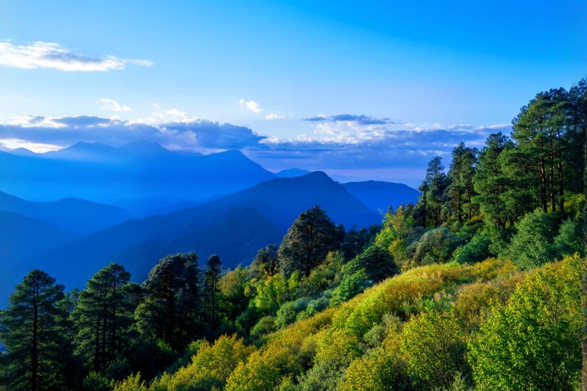Scenic mountain landscape with forested slopes, distant blue mountains, and cloudy sky typical of Himalayan trekking routes i