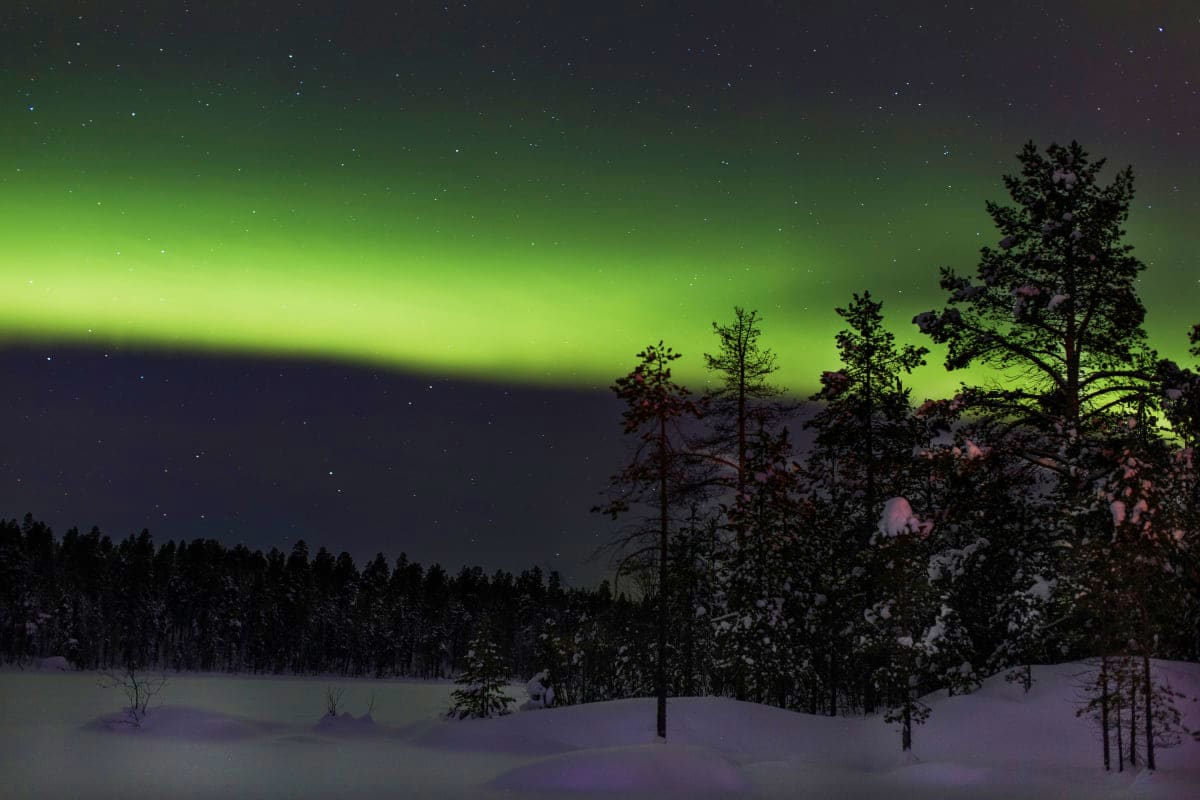 Northern lights glowing green over a snow-covered forest landscape with silhouetted pine trees and stars in the night sky