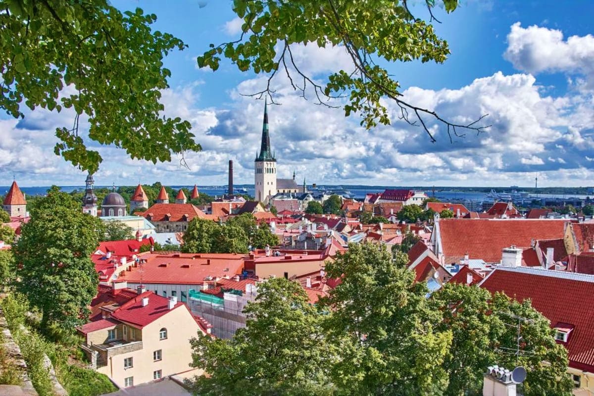 Scenic view of Tallinn's old town with red-roofed medieval buildings and St. Olaf Church spire framed by green tree branches