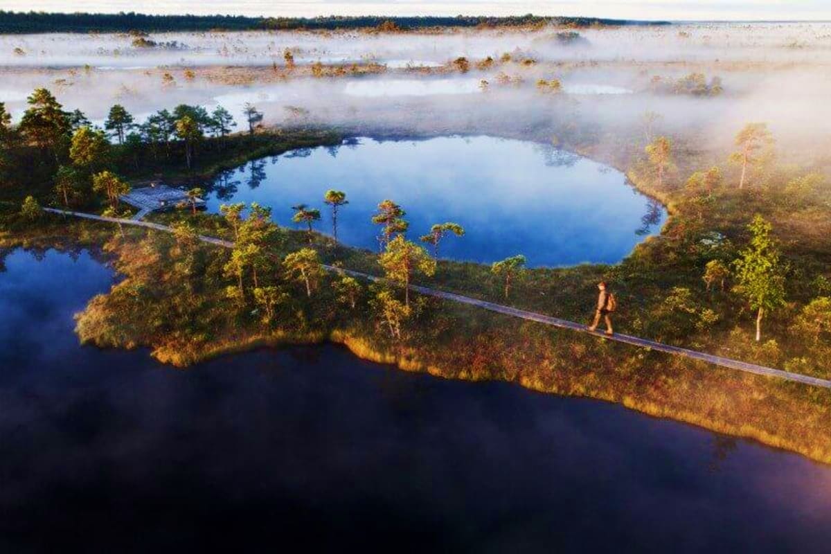 Aerial view of a hiker on a wooden boardwalk crossing through a misty bog landscape with blue lakes and pine forests in Eston