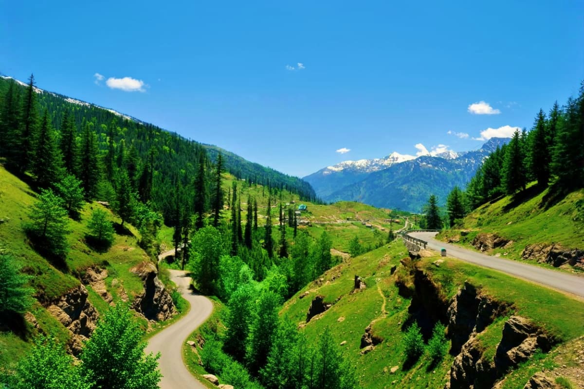 Scenic mountain valley with winding roads, snow-capped peaks, coniferous forests, and green meadows in the Himalayas