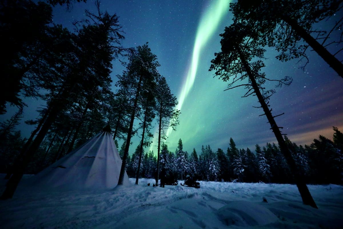 Northern lights aurora borealis dancing over snowy forest with teepee tent and coniferous trees at night in Finland