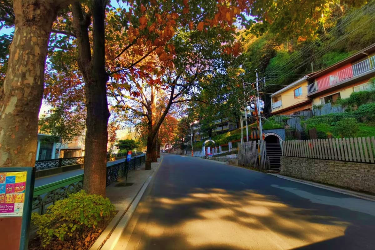 Tree-lined street in a Himalayan hill station with autumn foliage, traditional architecture, and residential buildings during