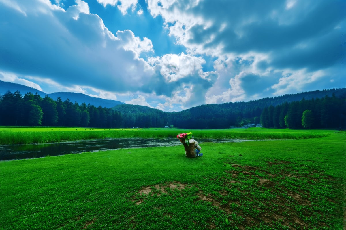 Scenic green meadow with stream, forested mountains, and blue sky with clouds in Himachal Pradesh landscape