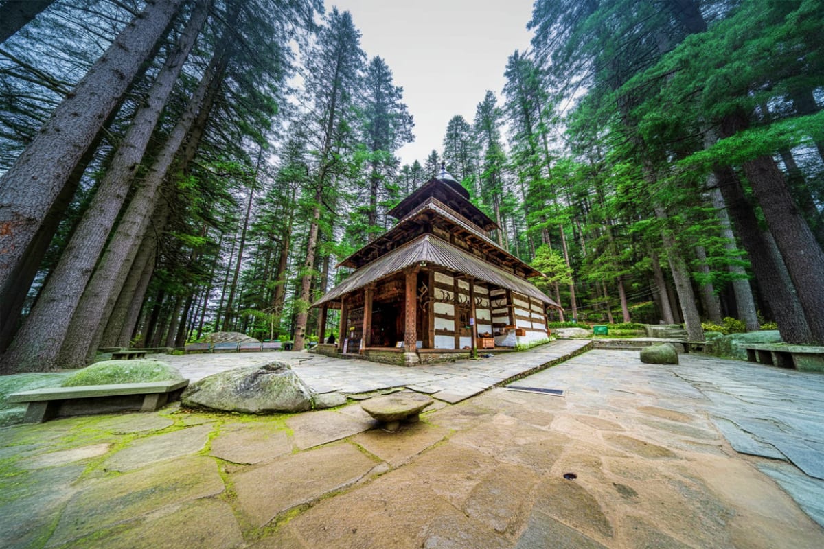 Traditional Japanese temple with wooden architecture surrounded by tall conifer forest trees and stone courtyard in mountain 