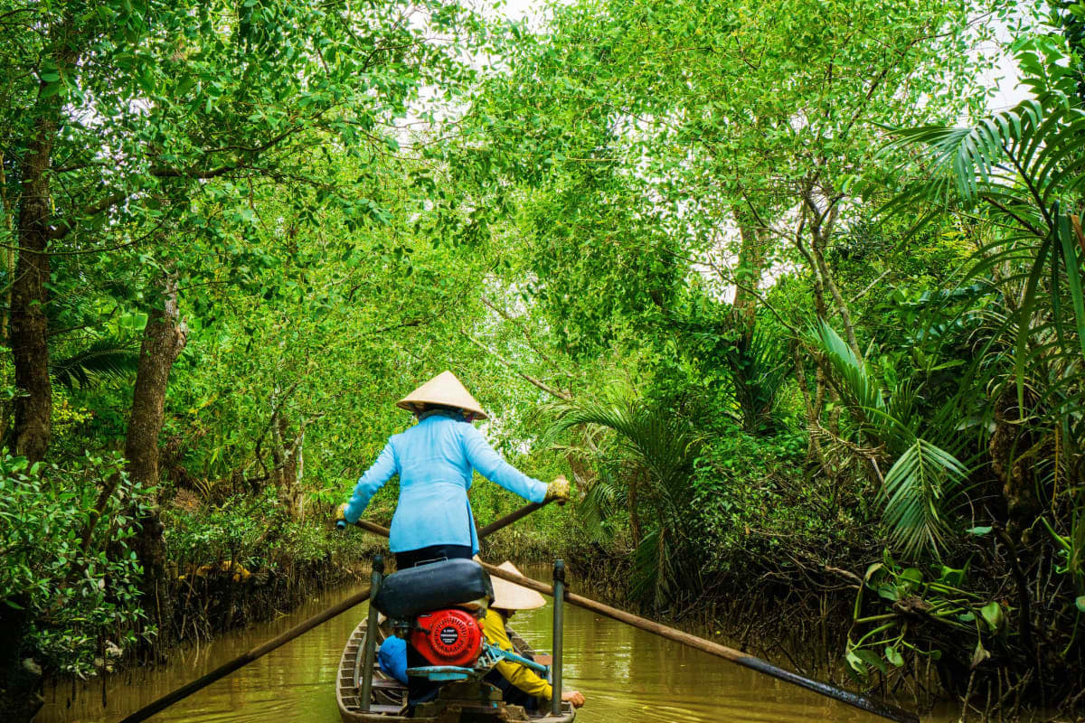 Person in blue shirt and conical hat rowing wooden boat through lush green mangrove forest in Vietnam