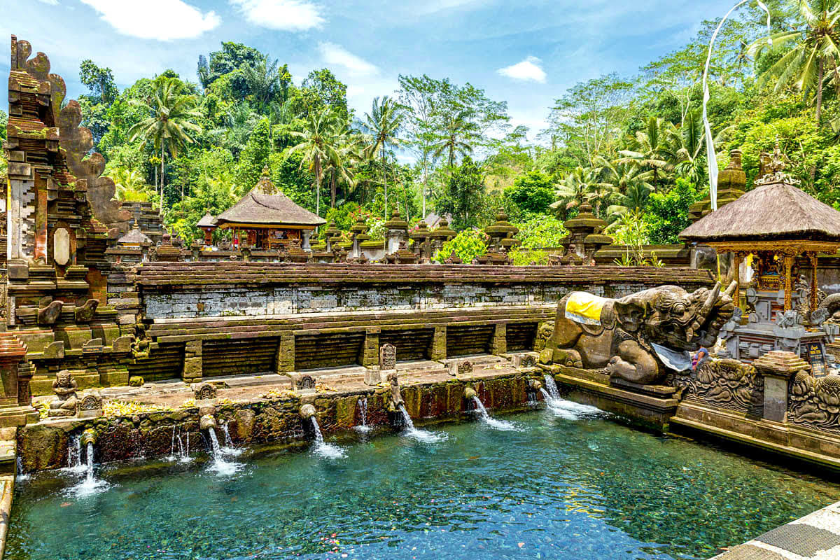 Ancient Balinese temple with carved stone elephant statue, sacred spring water pool, and lush tropical jungle vegetation unde