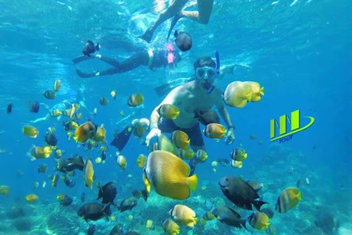 Snorkelers swimming with yellow and black tropical fish in clear blue ocean water in Bali