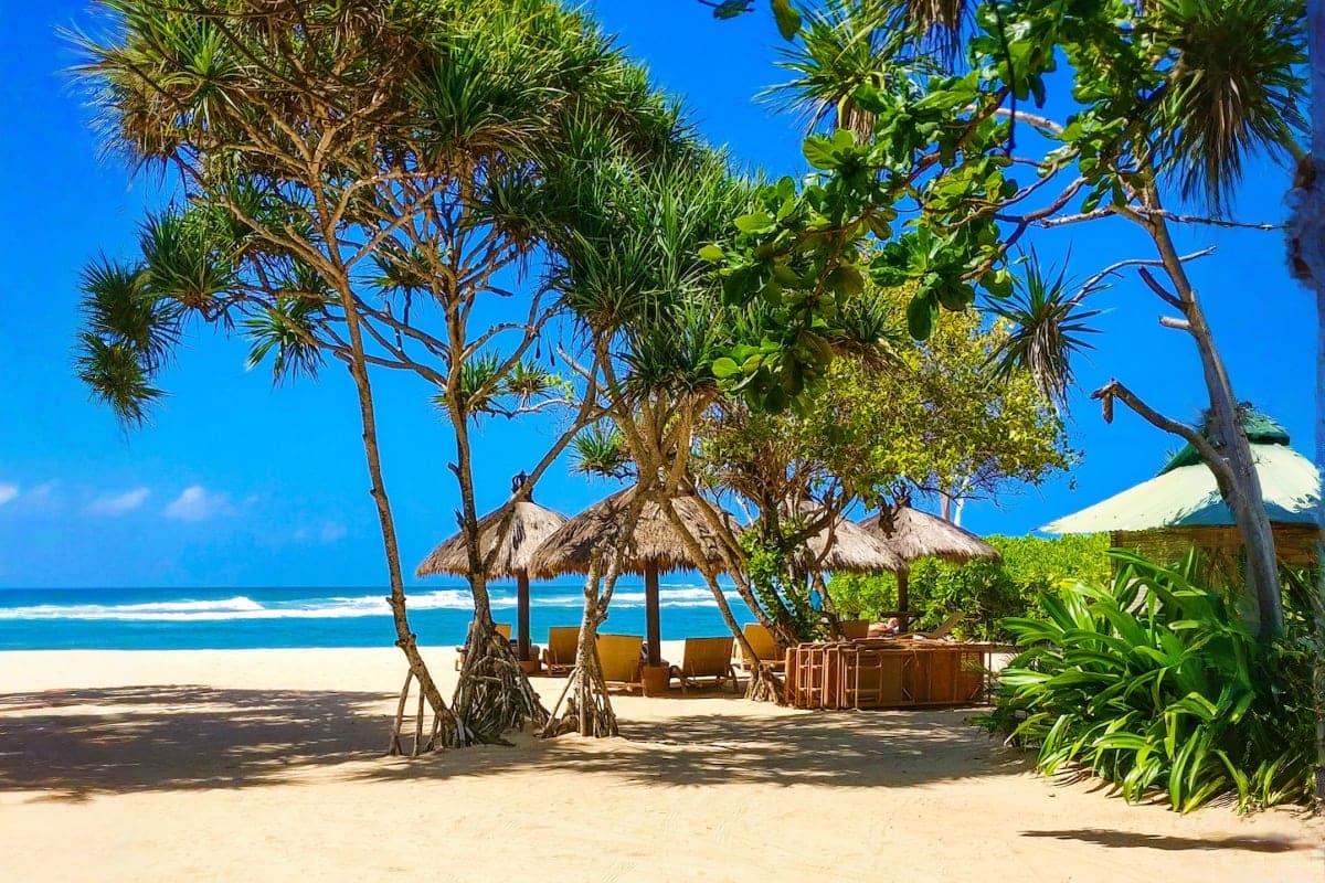 Tropical beach scene with thatched-roof cabanas, palm trees, and lounge chairs overlooking calm turquoise ocean waters under 